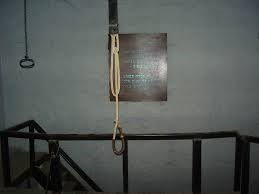 The Gallows